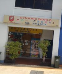 Dynamuc World Montessori (East Coast)