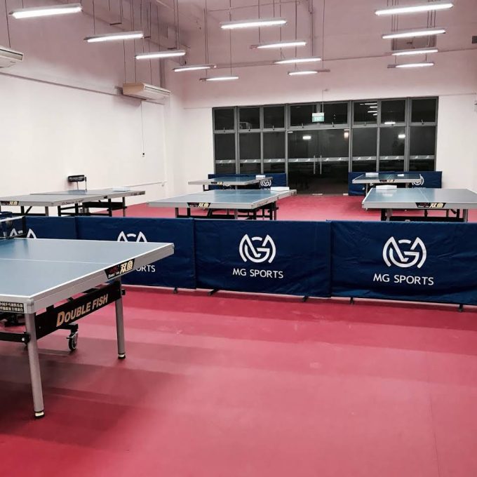 MG Sports Table Tennis