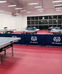 MG Sports Table Tennis