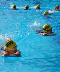 Pacific Swim Team (Tampines Swimming Complex)