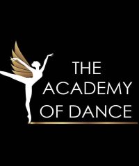 The Academy Of Dance (Yishun)