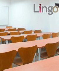 Lingo School of Knowledge