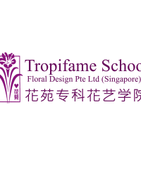 Tropifame School