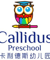 Callidus Preschool (Bishan St 23)