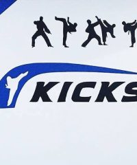 Kicks Taekwondo