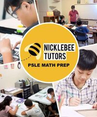 NickleBee Tutors (Bishan)