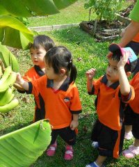 Sweetlands Childcare (Jurong East 316)